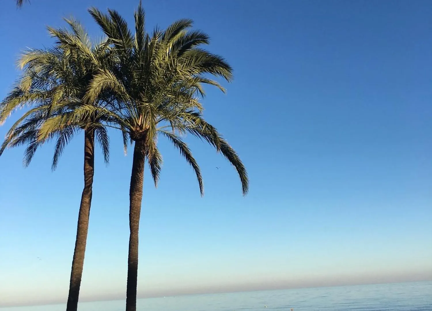 Dream Apartment In Estepona, Andalusia Ισπανία